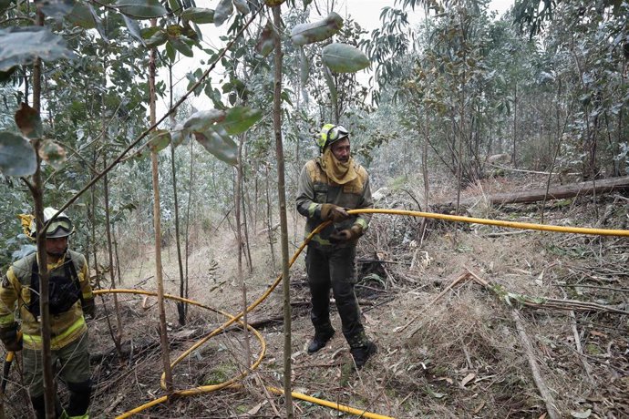 Bomberos trabajan en las tareas de extinción del incendio forestal en Cervo, a 5 de noviembre de 2025, en Cervo, Lugo, Galicia (España). Las llamas han comenzado de madrugada y han obligado a desalojar las viviendas de una urbanización y a evacuar a unos 