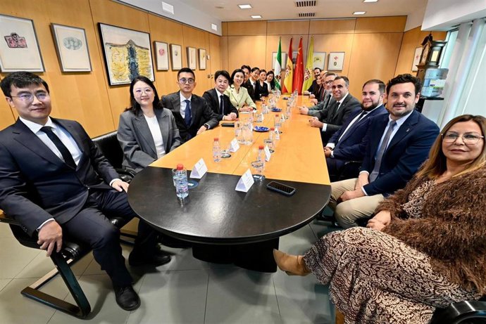 El presidente de la Diputación de Granada, Francis Rodríguez, recibe a una delegación de empresarios chinos en la citada institución provincial.