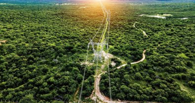 Energía y Medio Ambiente