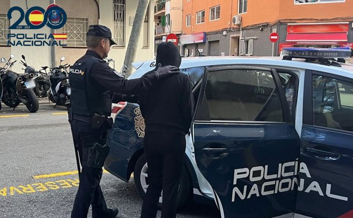 La mujer detenida por supuestamente estafar 50.000 euros a un amigo en Palma es introducida en un vehículo policial.