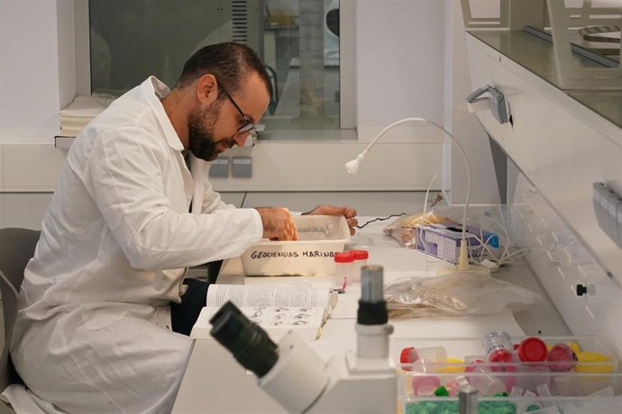 Archivo - Científico trabajando en los laboratorios de la nueva sede del Centro Oceanográfico, a 23 de octubre de 2024 en Málaga (Andalucía, España). 