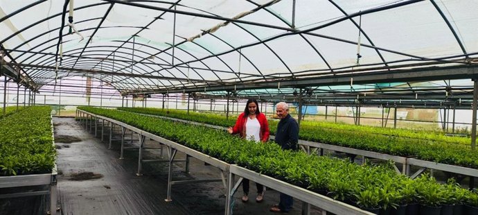 La diputada de Agricultura y Ganadería, Angélica García, en el vivero proivncial de la finca Haza de la Concepción de Malpartida de Plasencia