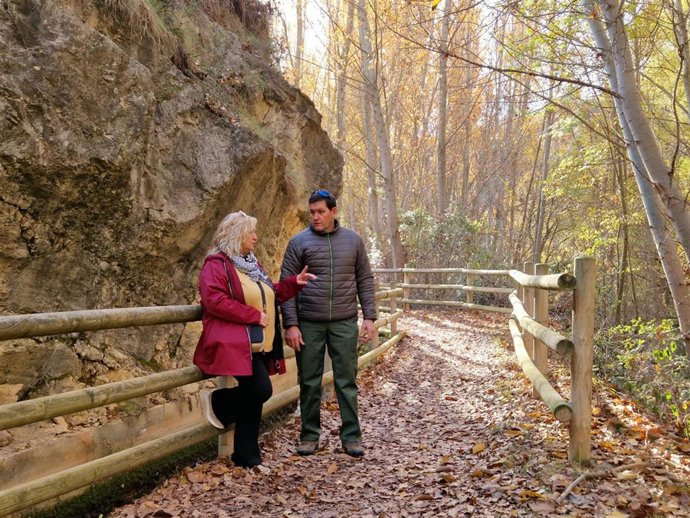 Los trabajos han incluido tanto labores de desbroce y poda.
