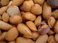 La producción de frutos secos se recupera en la campaña 2025/2026, con un registro histórico para la almendra