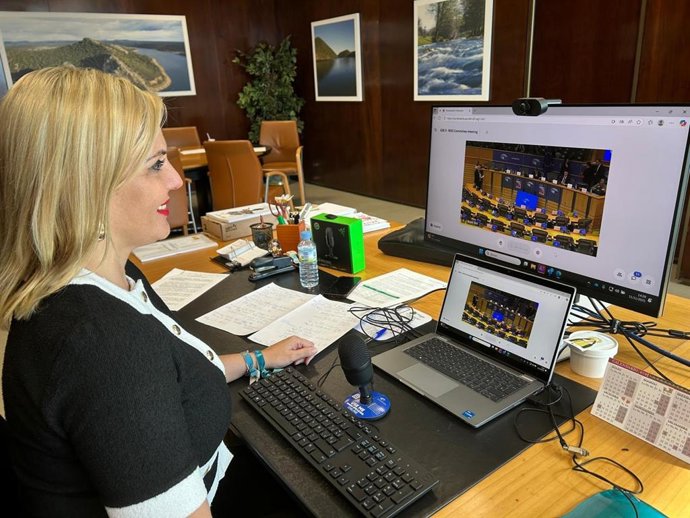 La consejera de Hacienda y Administración Pública, Elena Manzano, intervene de forma telemática en la Comisión europea de Desarrollo Regional (REGI)