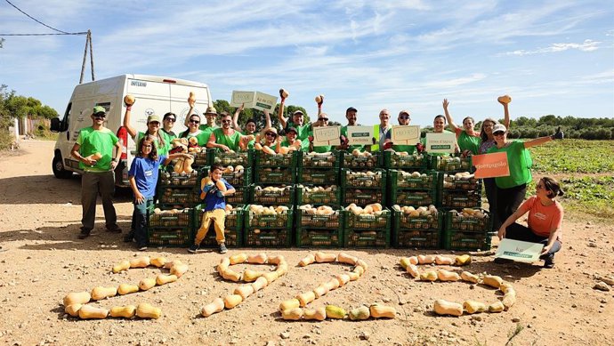 Archivo - Voluntarios de la campaña de la Generalitat