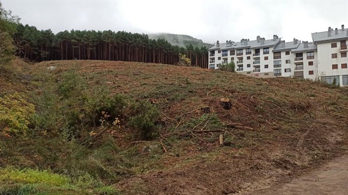 Parte De La Ladera Talada En La Pinilla