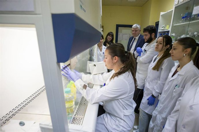 El Fondo Social Europeo Plus invierte tres millones de euros en cursos de especialización para jóvenes cántabros