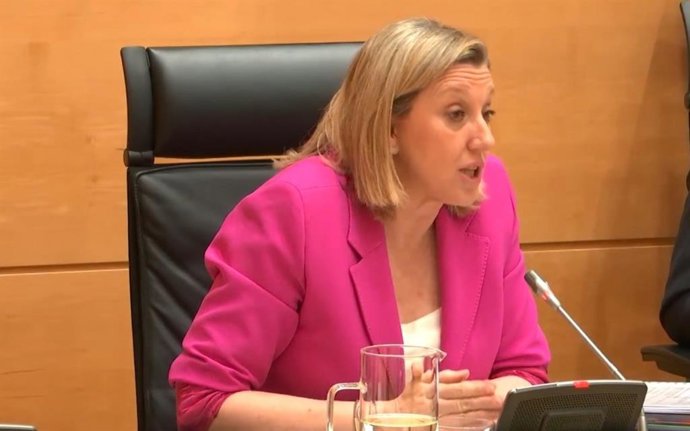 La vicepresidenta de la Junta y consejera de Familia e Igualdad de Oportunidades, Isabel Blanco, en su comparecencia en las Cortes