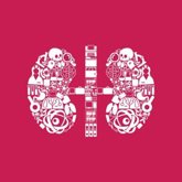 Foto: Enfermedad renal crónica: por qué bajar la presión arterial por debajo de 120 puede salvar tu vida