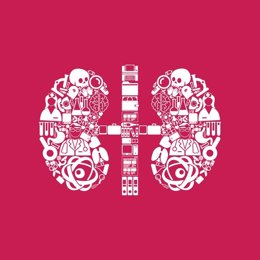 Archivo - Kidneys icon