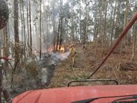 Activo un incendio forestal en la Canal de las Vacas, en Cillorigo de Liébana