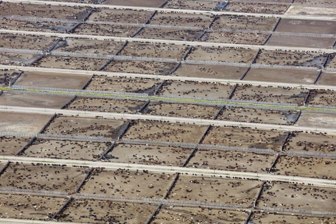 El impacto de la ganadería industrial en las metas climáticas