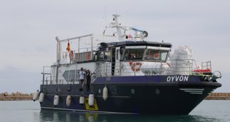 notibrasil sociedade