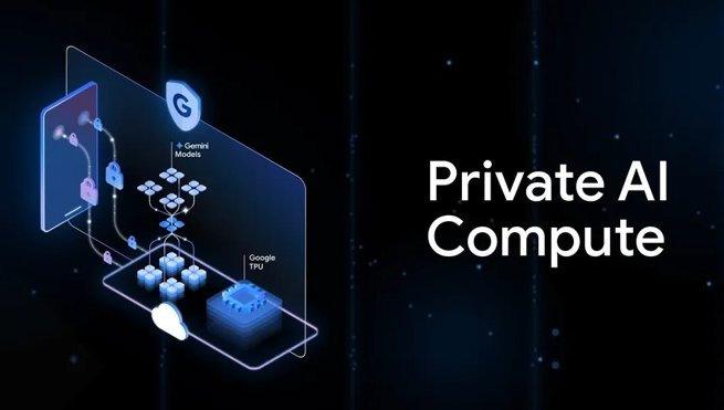 notibrasil sociedade