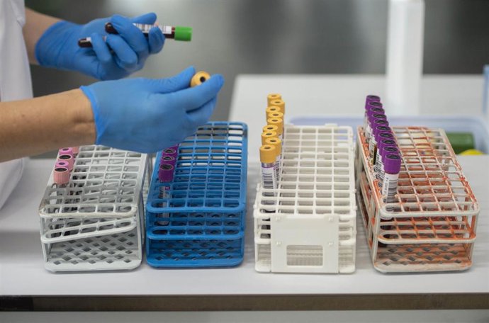 Archivo - Banco de sangre