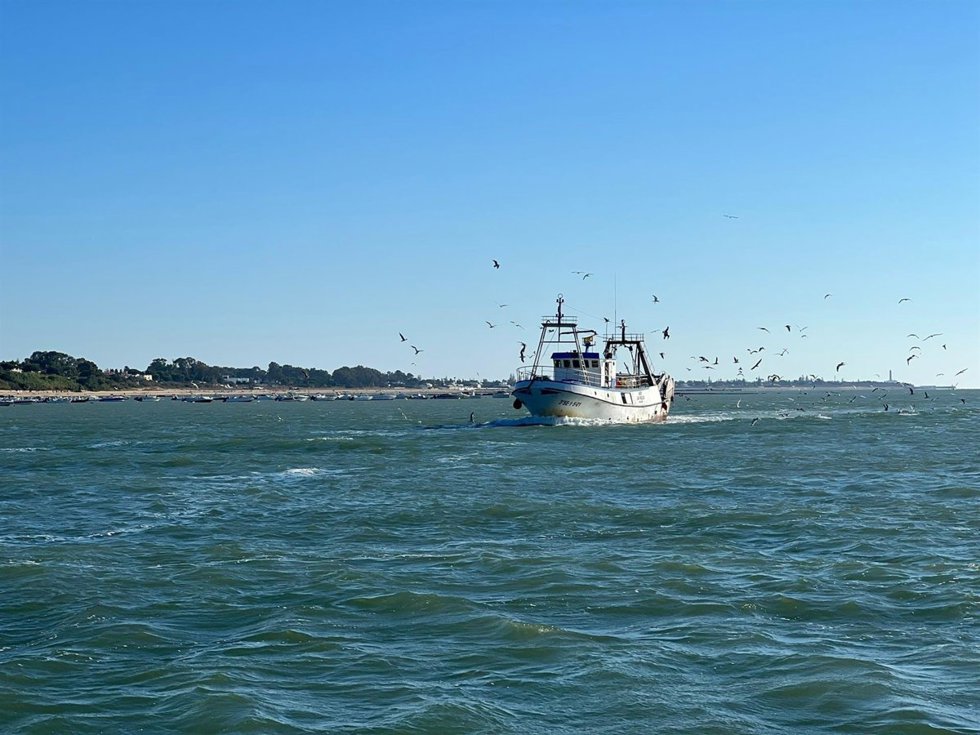 Barco pesquero