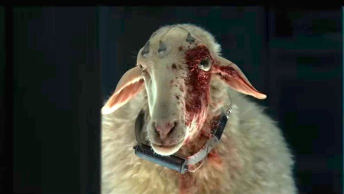 Alien: Planeta Tierra renueva por una temporada 2 con Noah Hawley de nuevo al frente