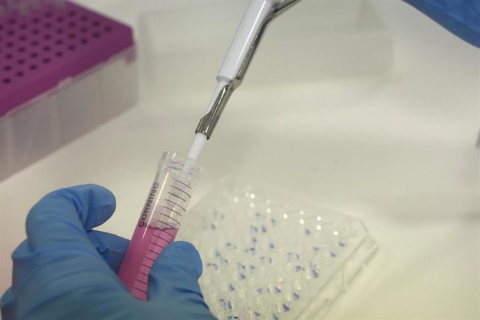 Archivo - Una científica introduce líquido en una probeta, en el laboratorio del Parque Tecnológico de Zamudio de Bilbao, a 23 de mayo de 2022, en Zamudio, Vizcaya, País Vasco (España). La empresa biofarmaceútica vasca Oncomatryx ha conseguido la autoriza