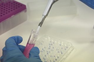 Archivo - Una científica introduce líquido en una probeta, en el laboratorio del Parque Tecnológico de Zamudio de Bilbao, a 23 de mayo de 2022, en Zamudio, Vizcaya, País Vasco (España). La empresa biofarmaceútica vasca Oncomatryx ha conseguido la autoriza