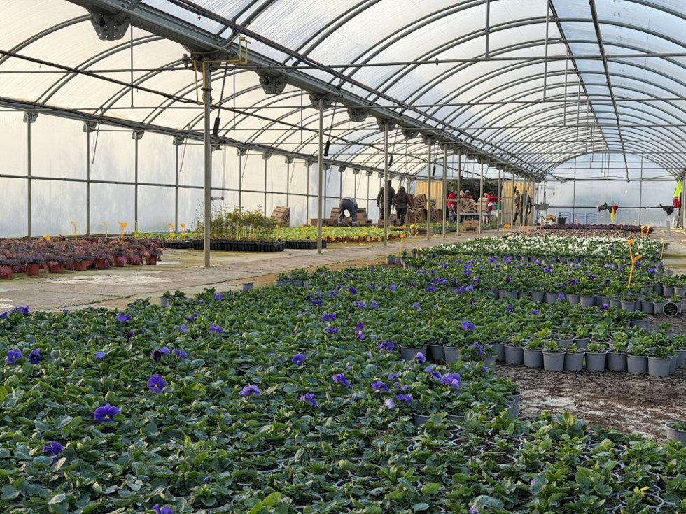 Vivero provincial.
