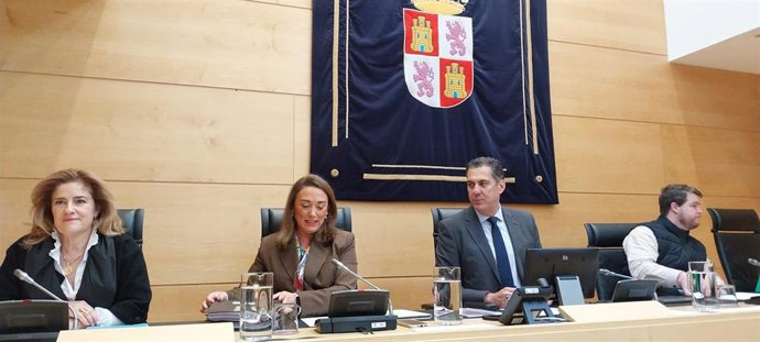 María González Corral en un momento de su comparecencia en la Comisión de Economía y Hacienda