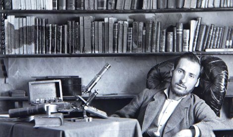 notibrasil sociedade