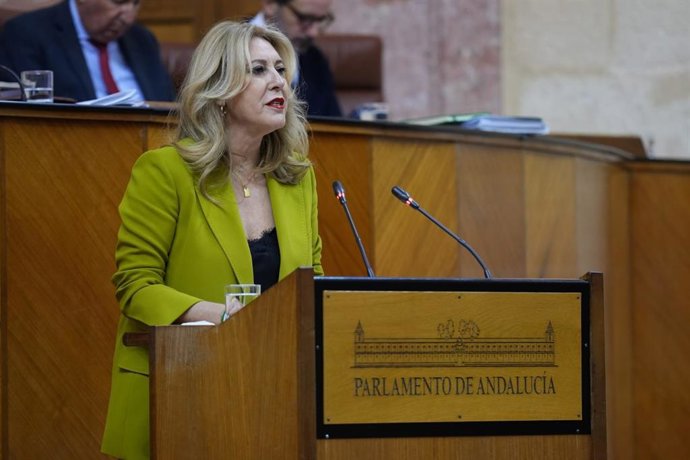 La consejera de Economía, Hacienda, Fondos Europeos y Diálogo Social, Carolina España, este miércoles en el Parlamento