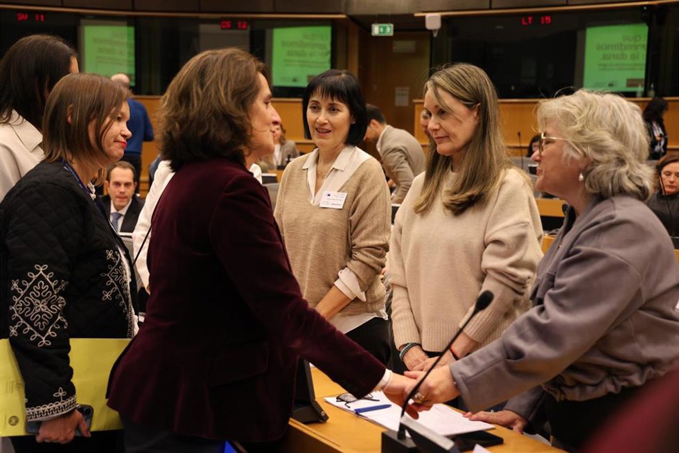Asociaciones de víctimas de la dana participan en las jornadas 'Lo que aprendimos de la dana', organizadas por los socialistas en el Parlamento Europeo
