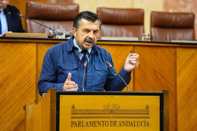 El portavoz del PP-A en el Parlamento andaluz, Toni Martín, este miércoles ante el Pleno del Parlamento