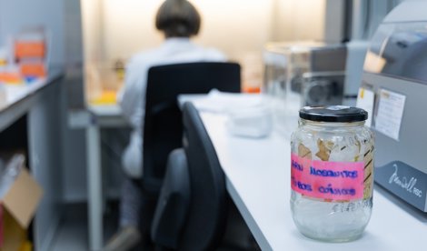 Es Andalucía - Sevilla