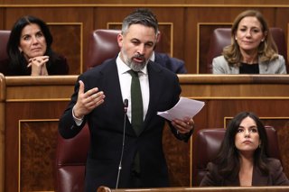 El presidente de Vox, Santiago Abascal, interviene durante una sesión de control al Gobierno, en el Congreso de los Diputados, a 12 de noviembre de 2025, en Madrid (España). Sánchez ha acudido al Congreso para informar sobre los resultados de las últimas 