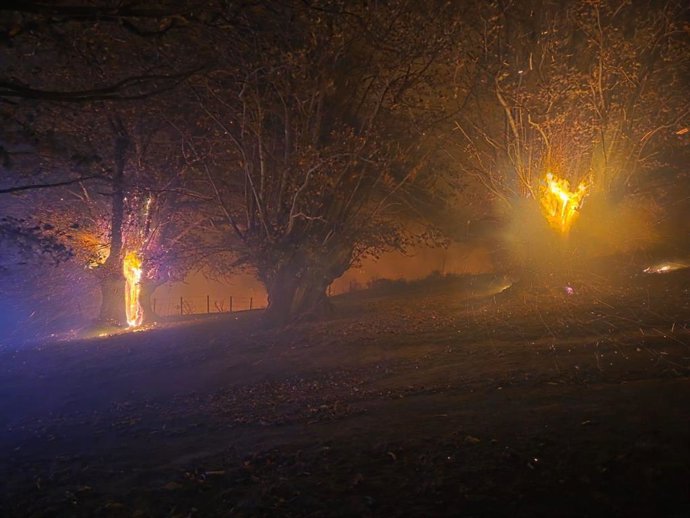 El incendio en Liébana ha afectado en principio a tres castaños milenarios de Pendes
