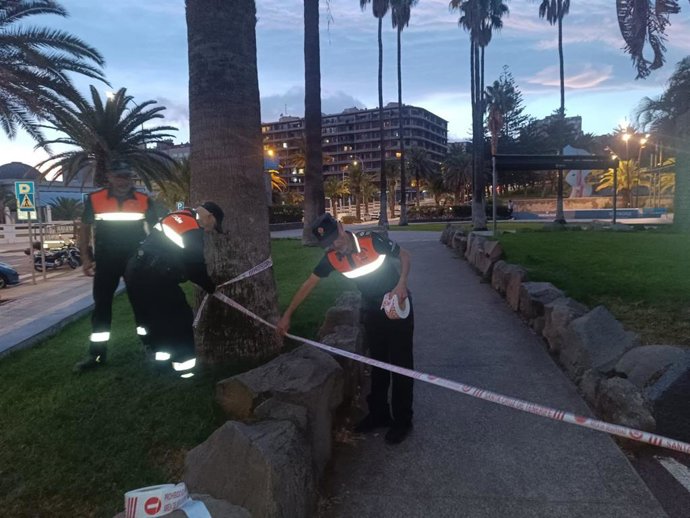 Efectivos de Protección Civil preparan un parque en Santa Cruz de Tenerife ante la llegada de la borrasca 'Claudia'