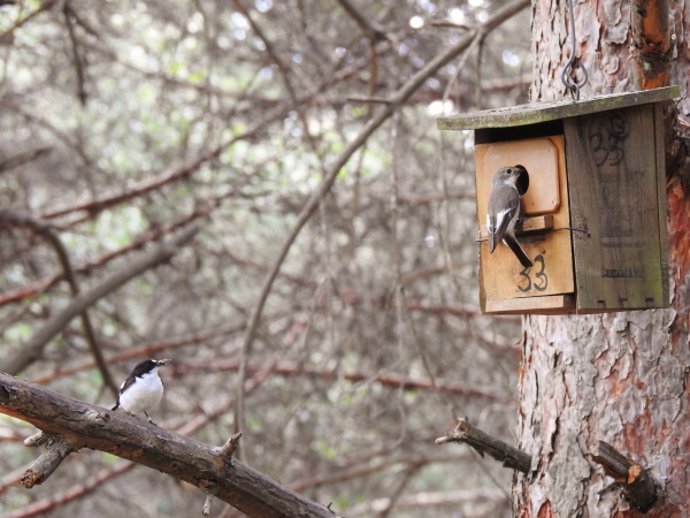 Imagen del trabajo de campo.