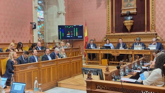 Pleno del Consell de Mallorca.