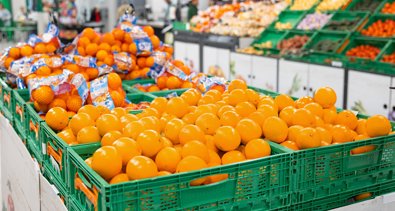 EpAgro - Agricultura