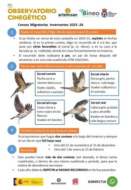 Cazadores inician este sábado la nueva campaña de censos de aves migratorias invernantes.