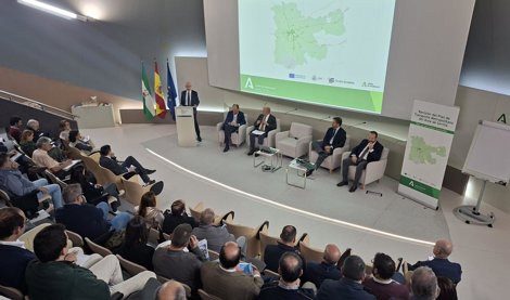 Es Andalucía - Sevilla