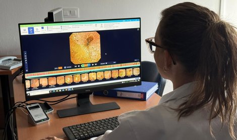 Es Andalucía - Cádiz