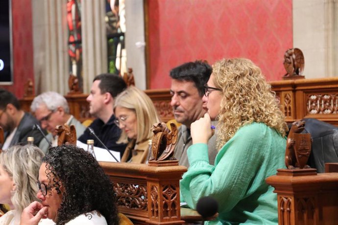 La bancada de MÉS per Mallorca en el Consell insular.