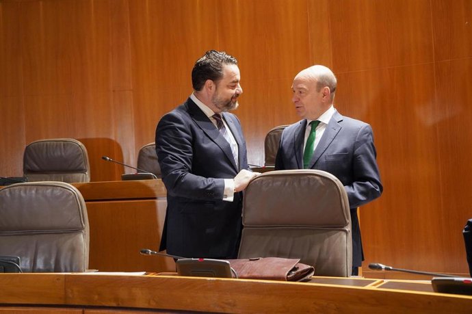 Los diputados de Vox David Arranz y Santiago Morón.