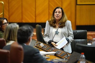La consejera de Desarrollo Educativo y Formación Profesional, María del Carmen Castillo, en el Pleno del Parlamento del 13 de noviembre de 2025.