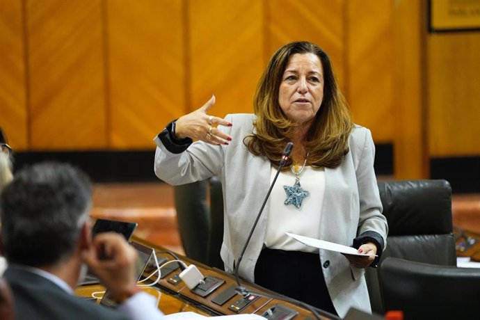 La consejera de Desarrollo Educativo y Formación Profesional de la Junta de Andalucía, María del Carmen Castillo, en el Pleno del Parlamento del 13 de noviembre de 2025.