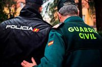 Sindicatos policiales piden en Sevilla al Gobierno el reconocimiento como profesión de riesgo y medios "actualizados"