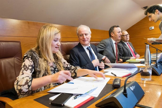 El consejero Arasti comparece en la Comisión