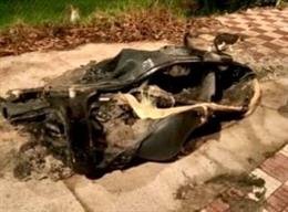 Un contendor calcinado en Los Barrios.