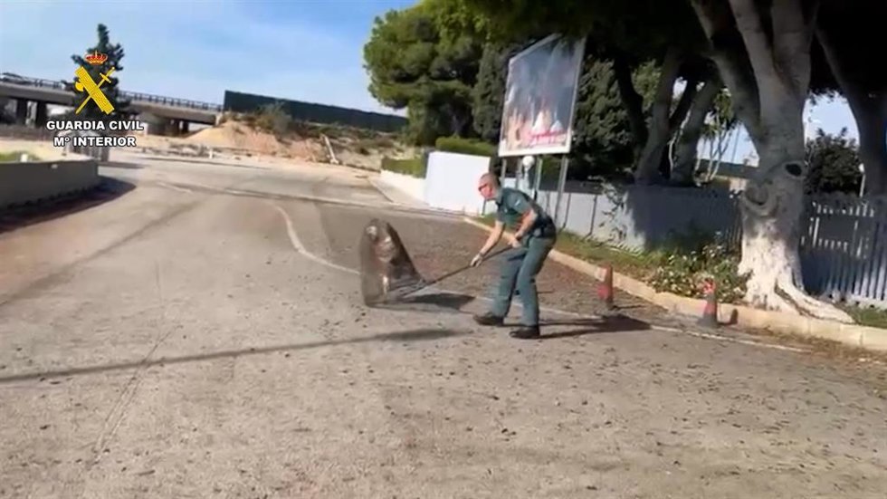Imagen del rescate
