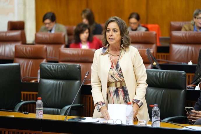 La consejera de Sostenibilidad y Medio Ambiente de la Junta de Andalucía, Catalina García, en el pleno del Parlamento de Andalucía.