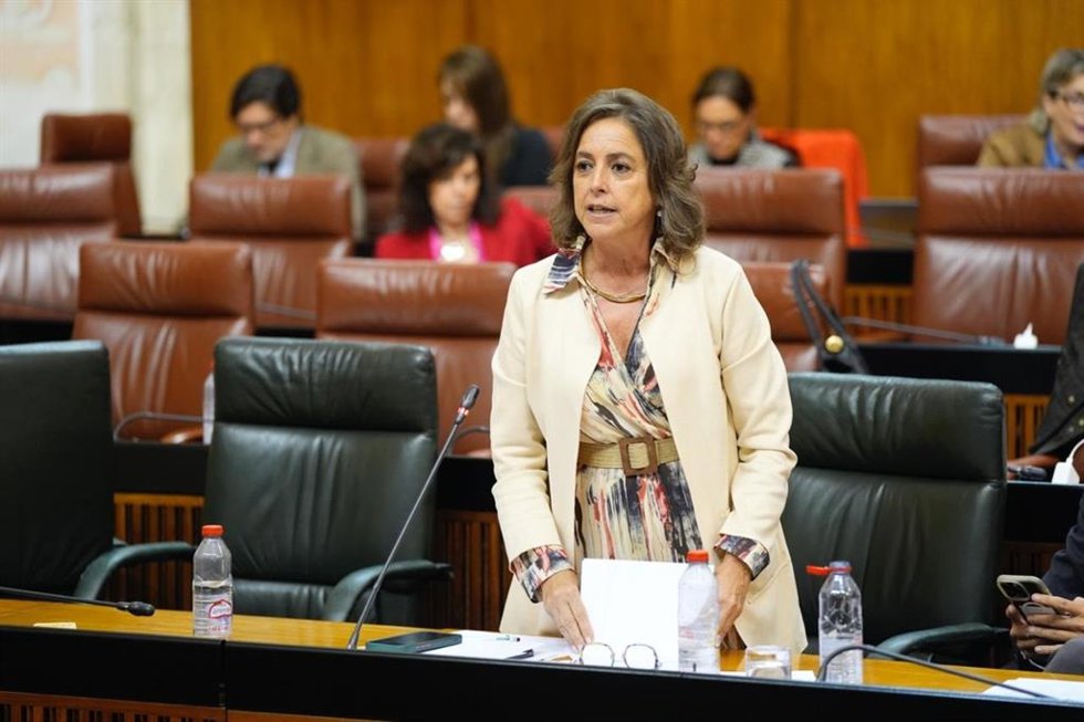 La consejera de Sostenibilidad y Medio Ambiente de la Junta de Andalucía, Catalina García, en el pleno del Parlamento de Andalucía.